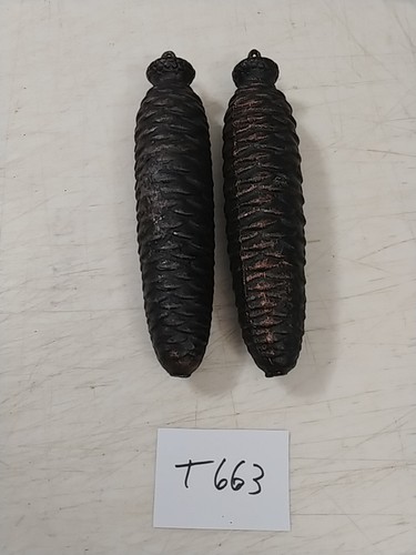 Large assorted pine cone - 2,