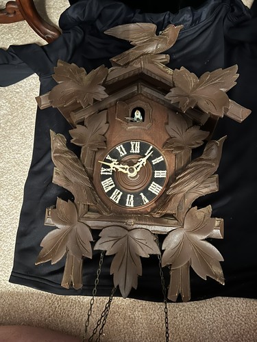 Vintage one day black forest - vintage,